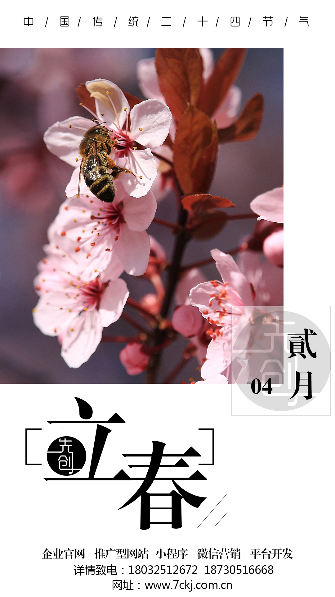 唐山網站優化